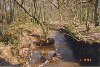 looking downstream from pooh sticks bridge